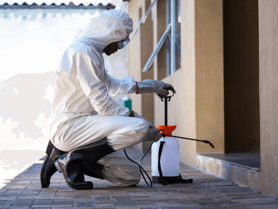 About Verdigris Bait Systems - bait systems experts in Verdigris